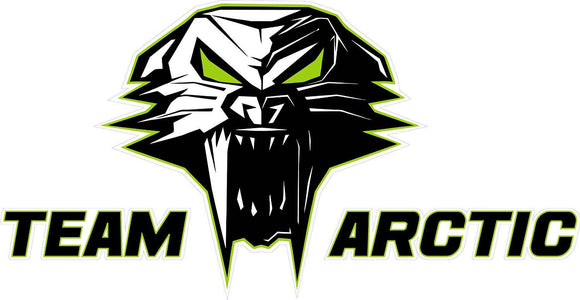 Team Arctic Cat Decal Version 3 - 6