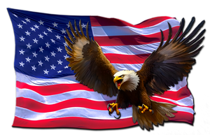 Red White and Blue American flag eagle decal