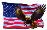 Red White and Blue American flag eagle decal